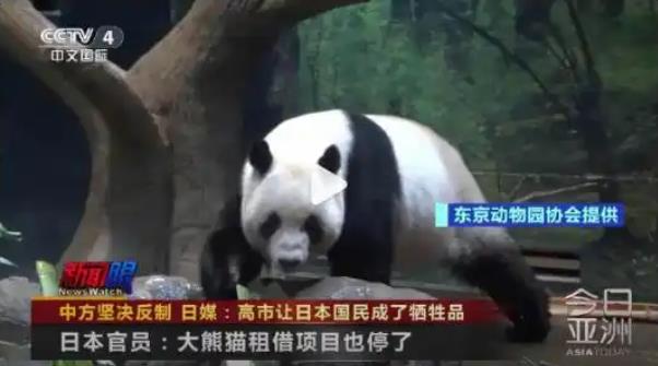 中国暂停租借大熊猫给日本，最后两只大熊猫将于明年2月回国